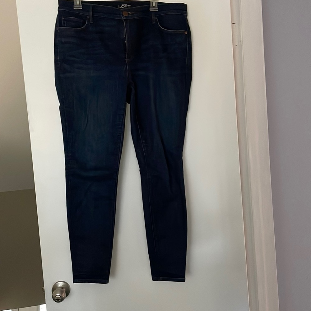 Ann Taylor Loft 32/14 Leggings Jeans